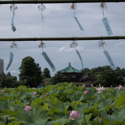 Handmade Jamaican Bamboo Wind Chimes