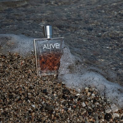 Island Breeze Fragrance