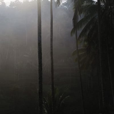 Island Breeze Fragrance Mist