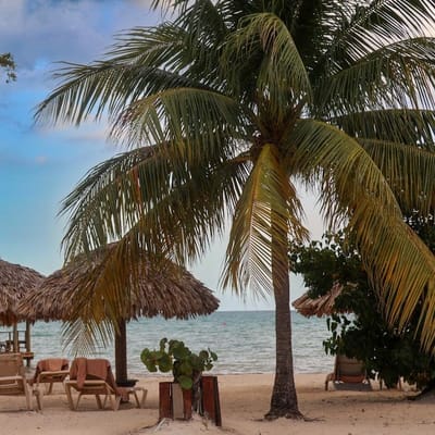 Island Vibes Sandals