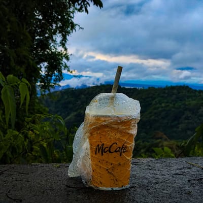 Jamaican Blue Mountain Coffee