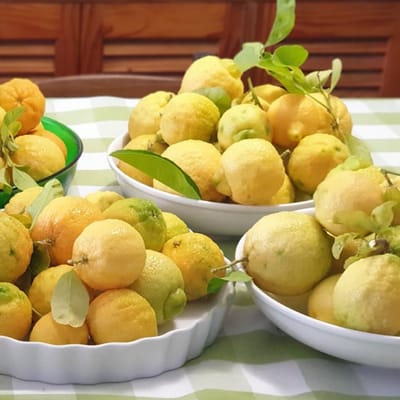 Jamaican Citrus All-Purpose Cleaner