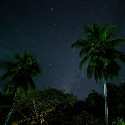 Luminous Night Photography Tour