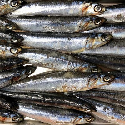 Omega-3 Fish Oil Capsules