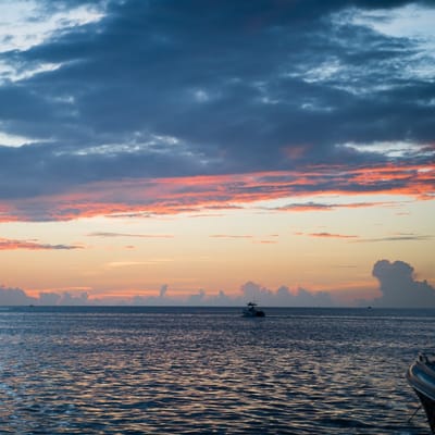 Sunset Catamaran Cruise