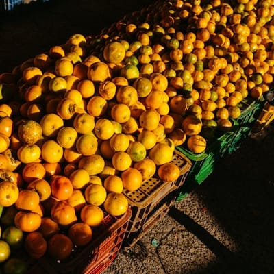 Tropical Mango Juice