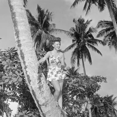 Tropical Print Swimsuit