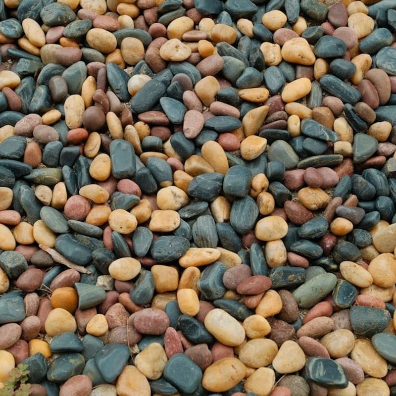 Blue Mountain Coffee Beans