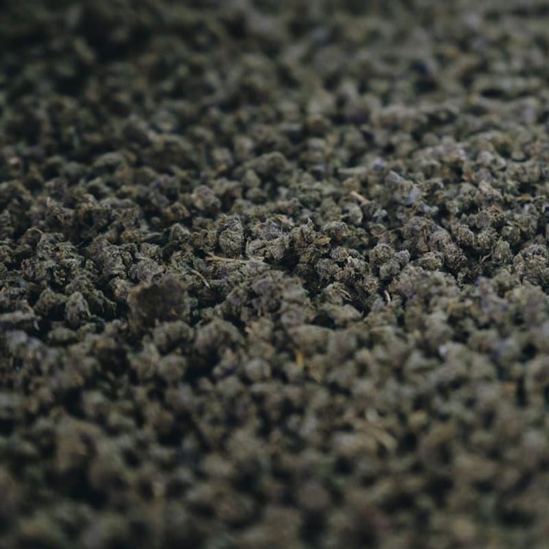 Deep Carpet Cleaning Service