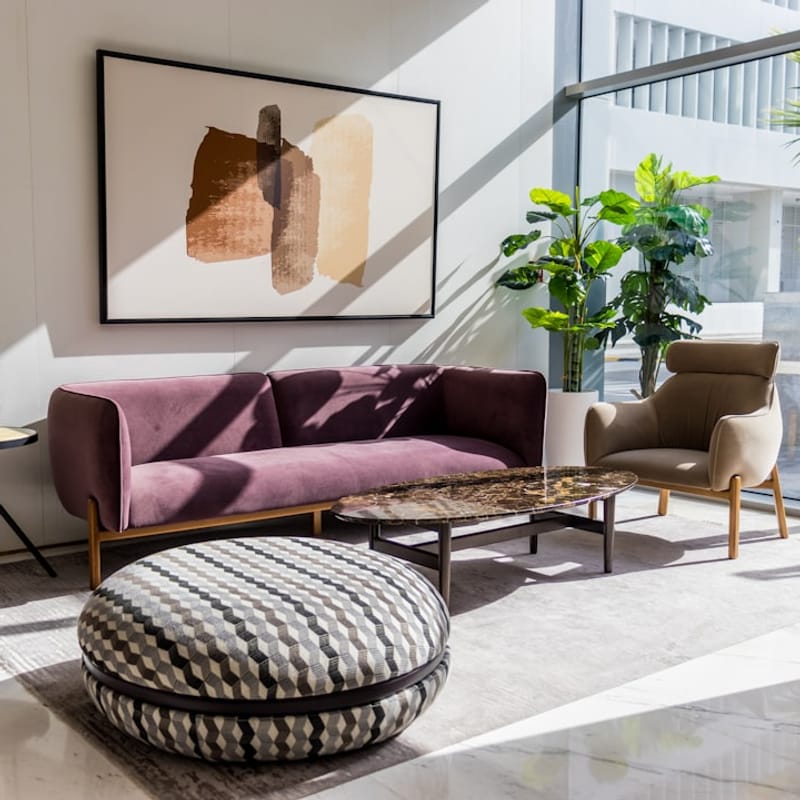 Deep Clean Carpet Shampoo