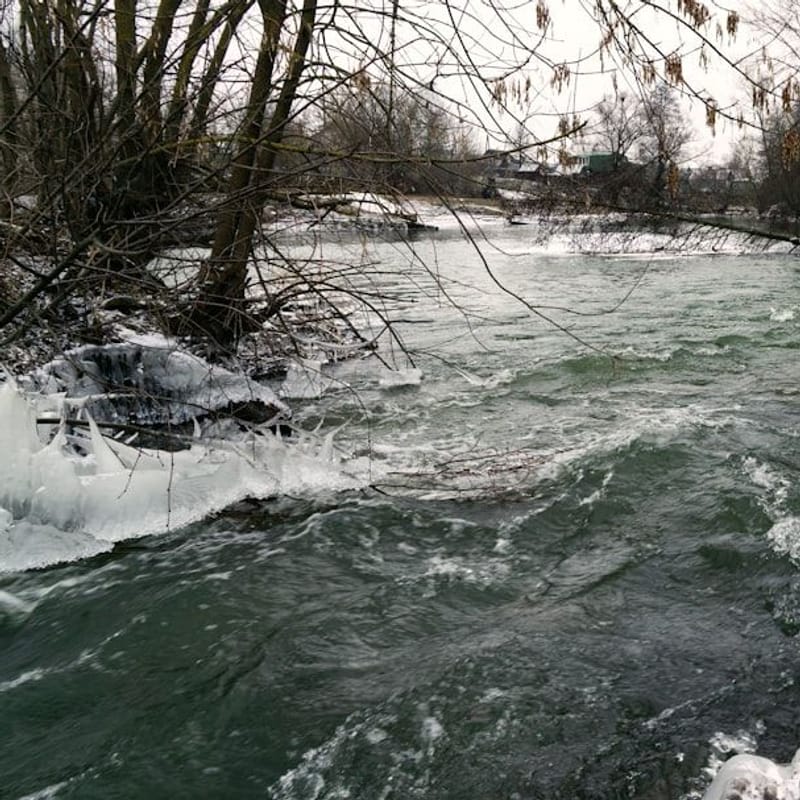 Dunn's River Falls Adventure