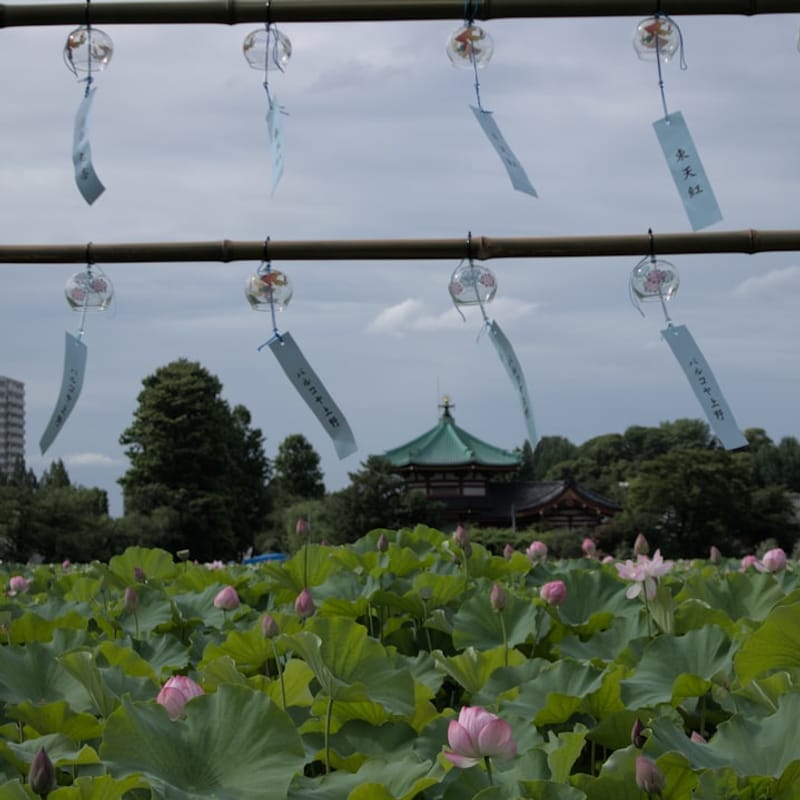 Handmade Jamaican Bamboo Wind Chimes