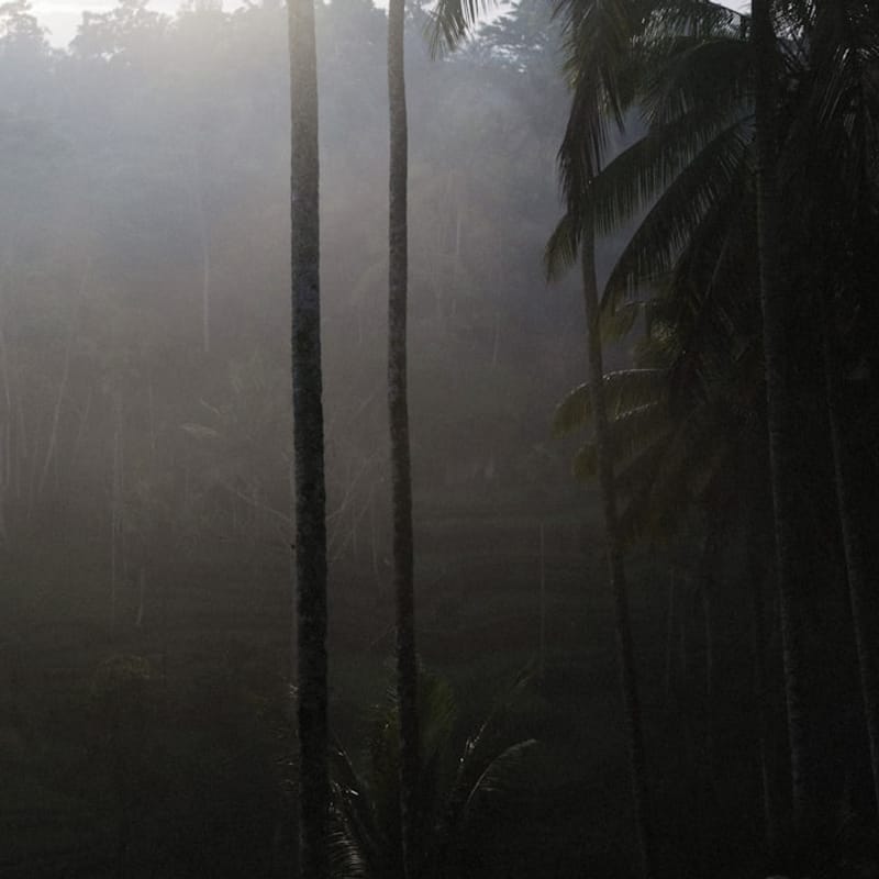 Island Breeze Fragrance Mist