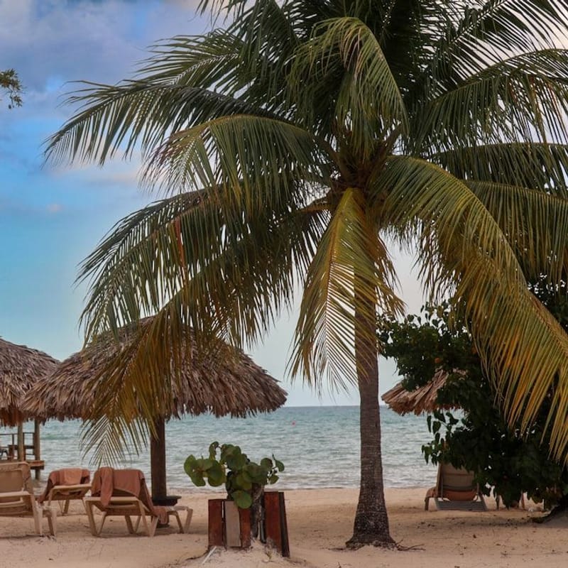 Island Vibes Sandals