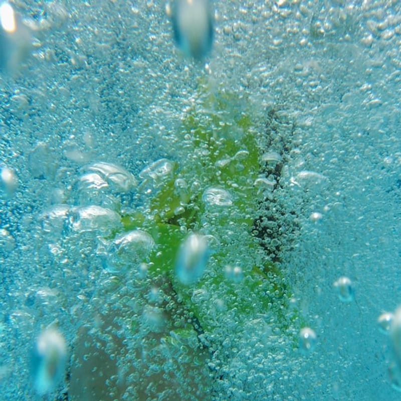 Organic Aloe Vera Gel