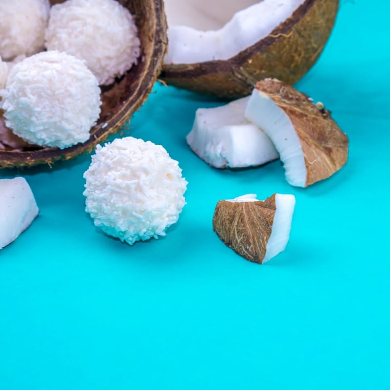 Organic Coconut Protein Powder