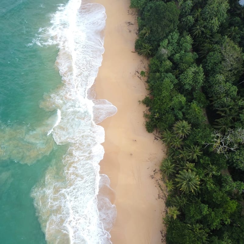 Tropical Beach Cover-Up