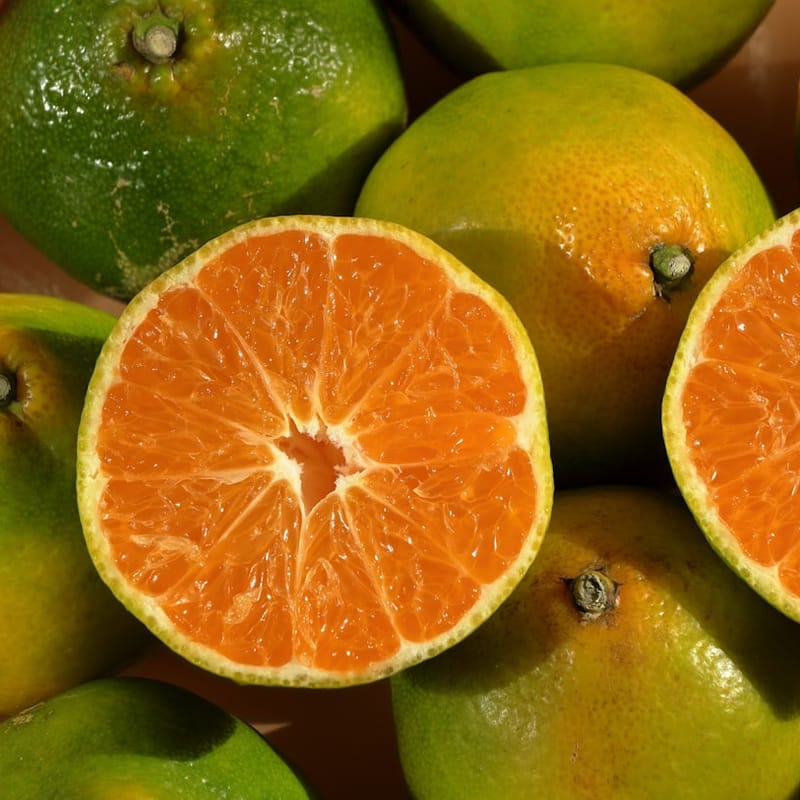 Tropical Glow Facial Serum