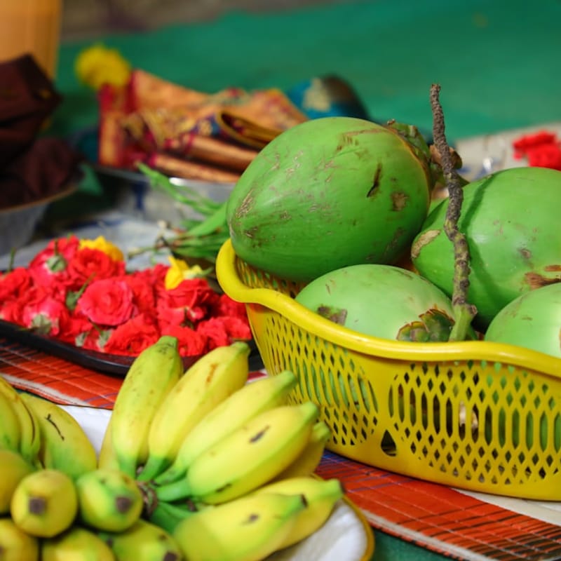 Tropical Nutrition Coaching