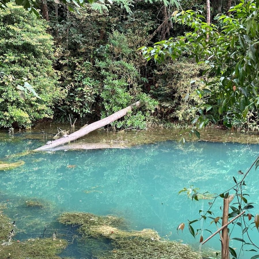 Blue Hole and Secret Falls Tour