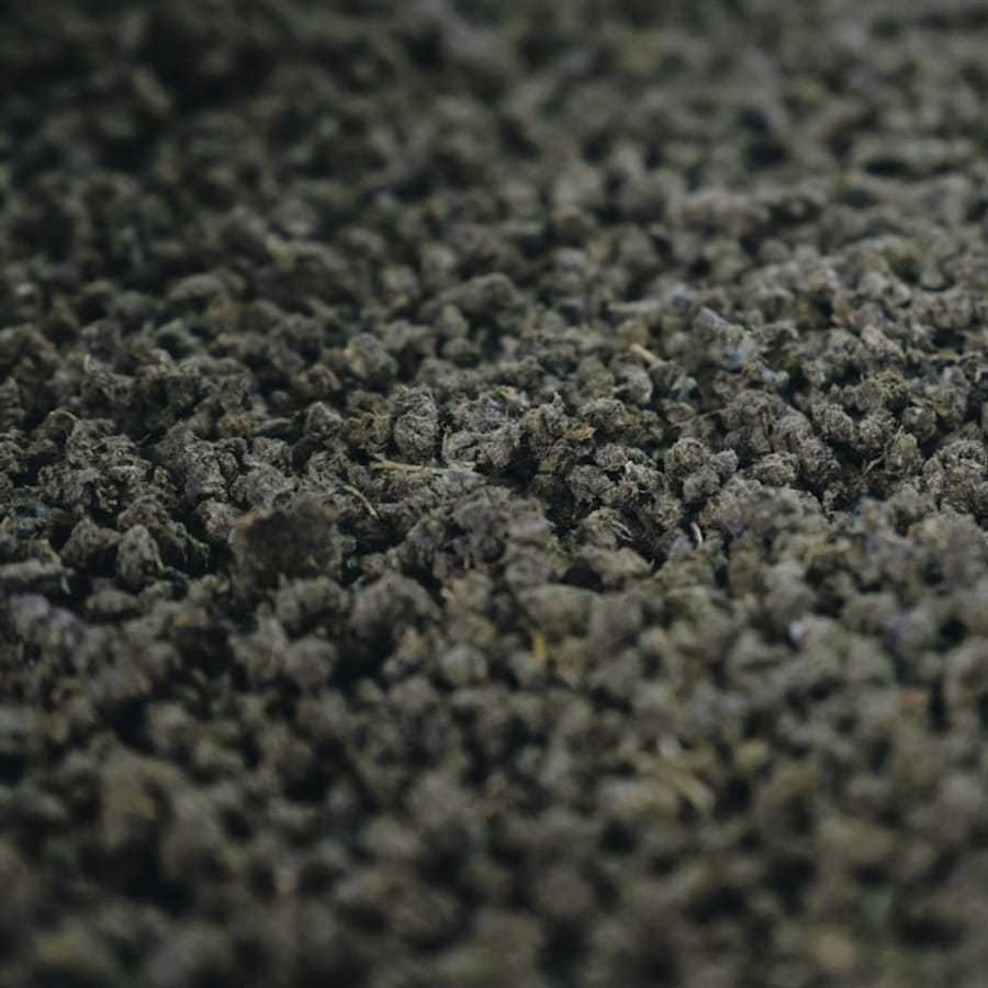 Commercial Grade Carpet Shampoo