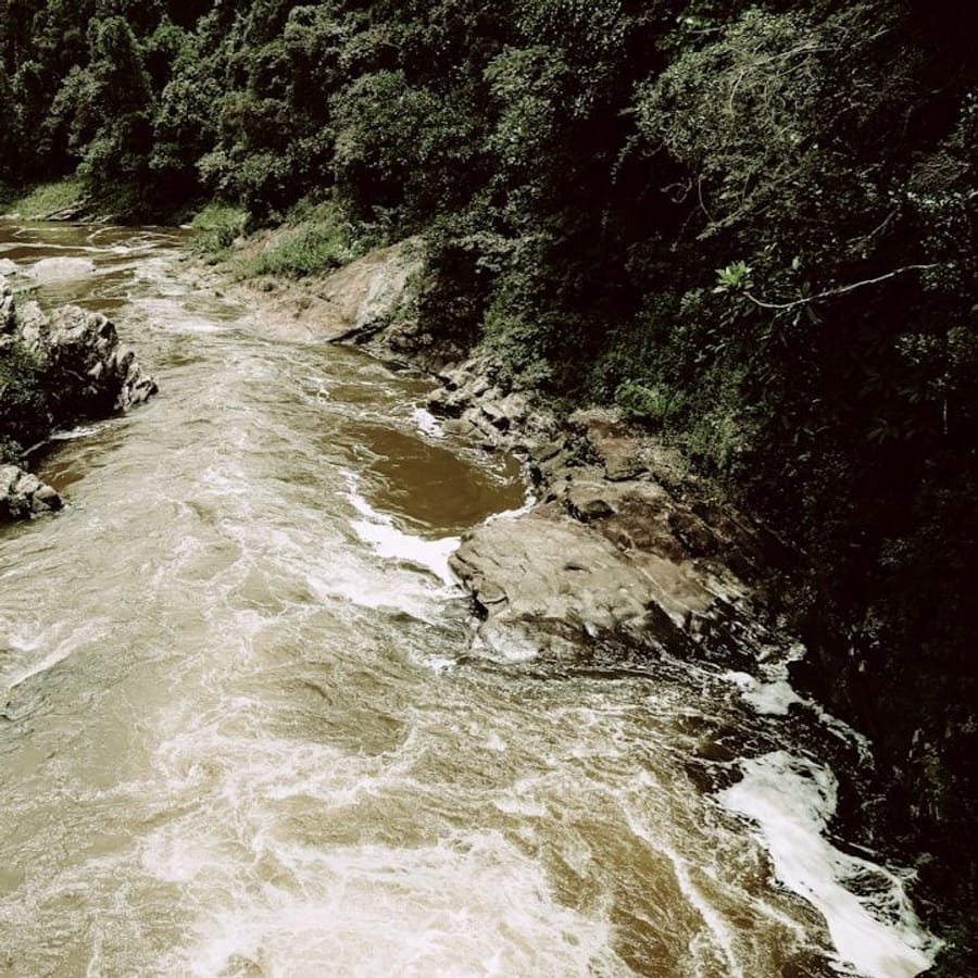 Dunn's River Falls Tour