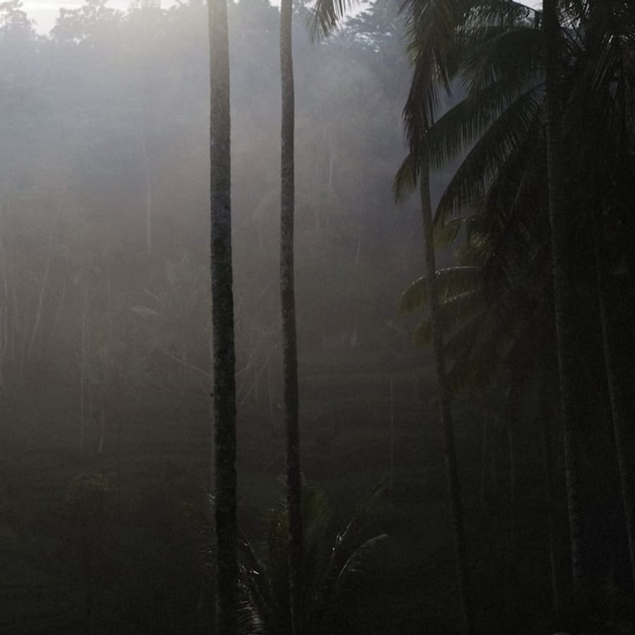 Island Breeze Fragrance Mist