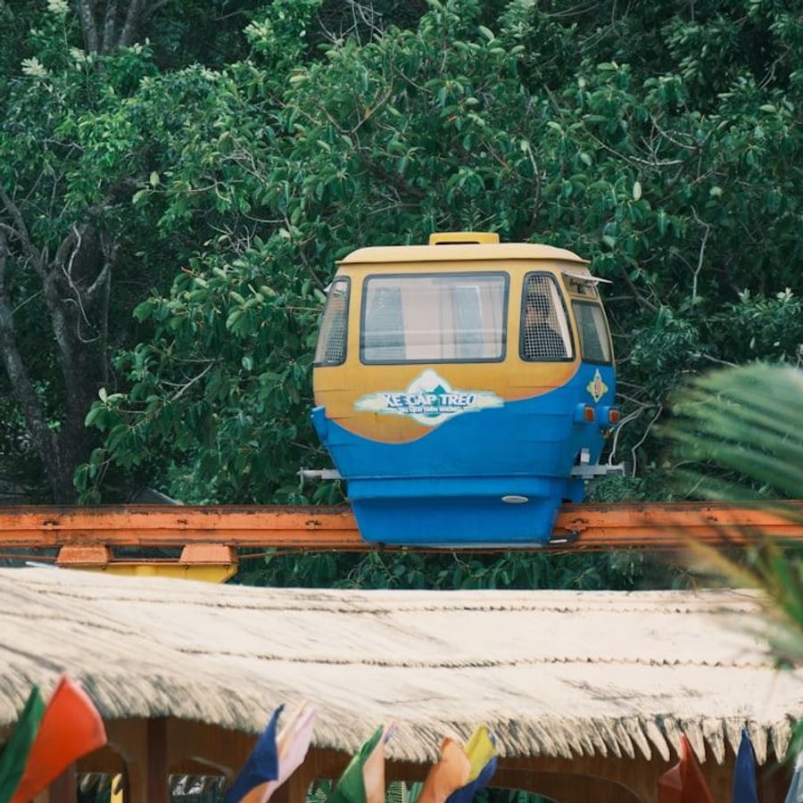 Jamaican Bobsled Adventure