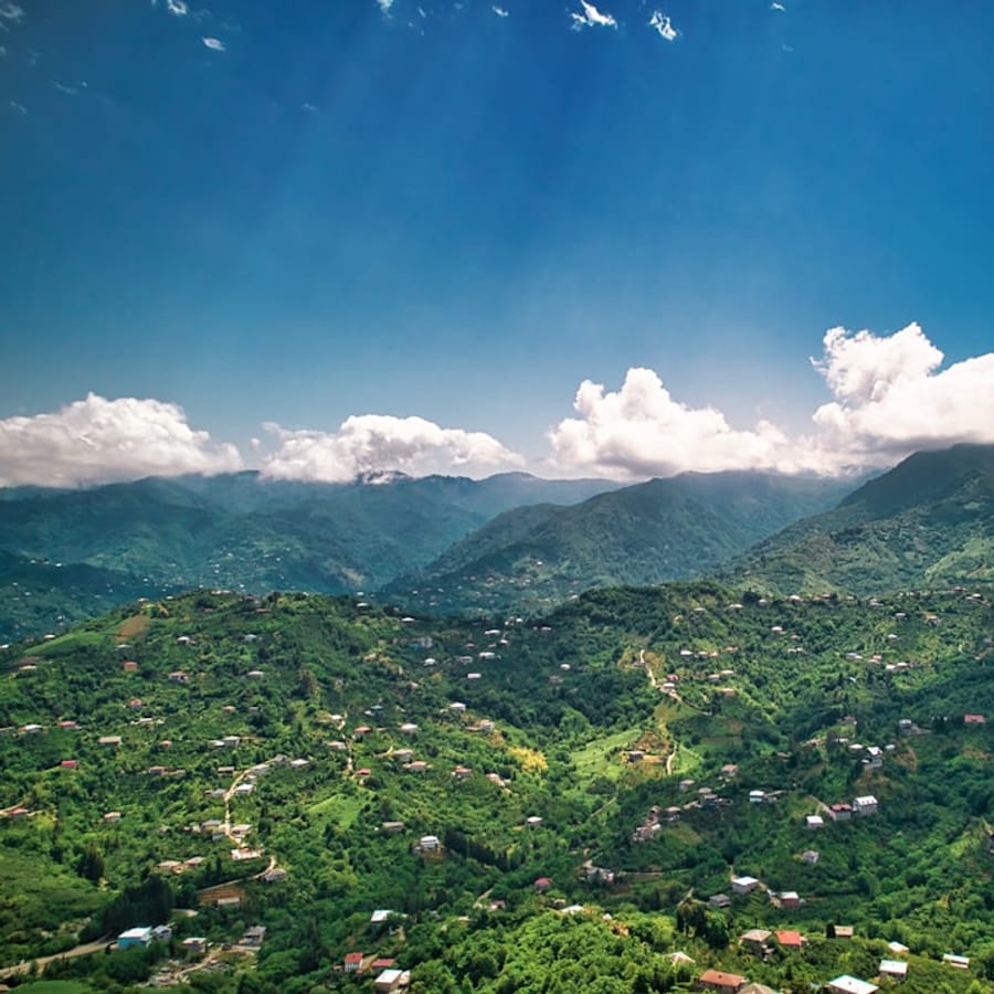 Jamaican Landscape Photography Tour