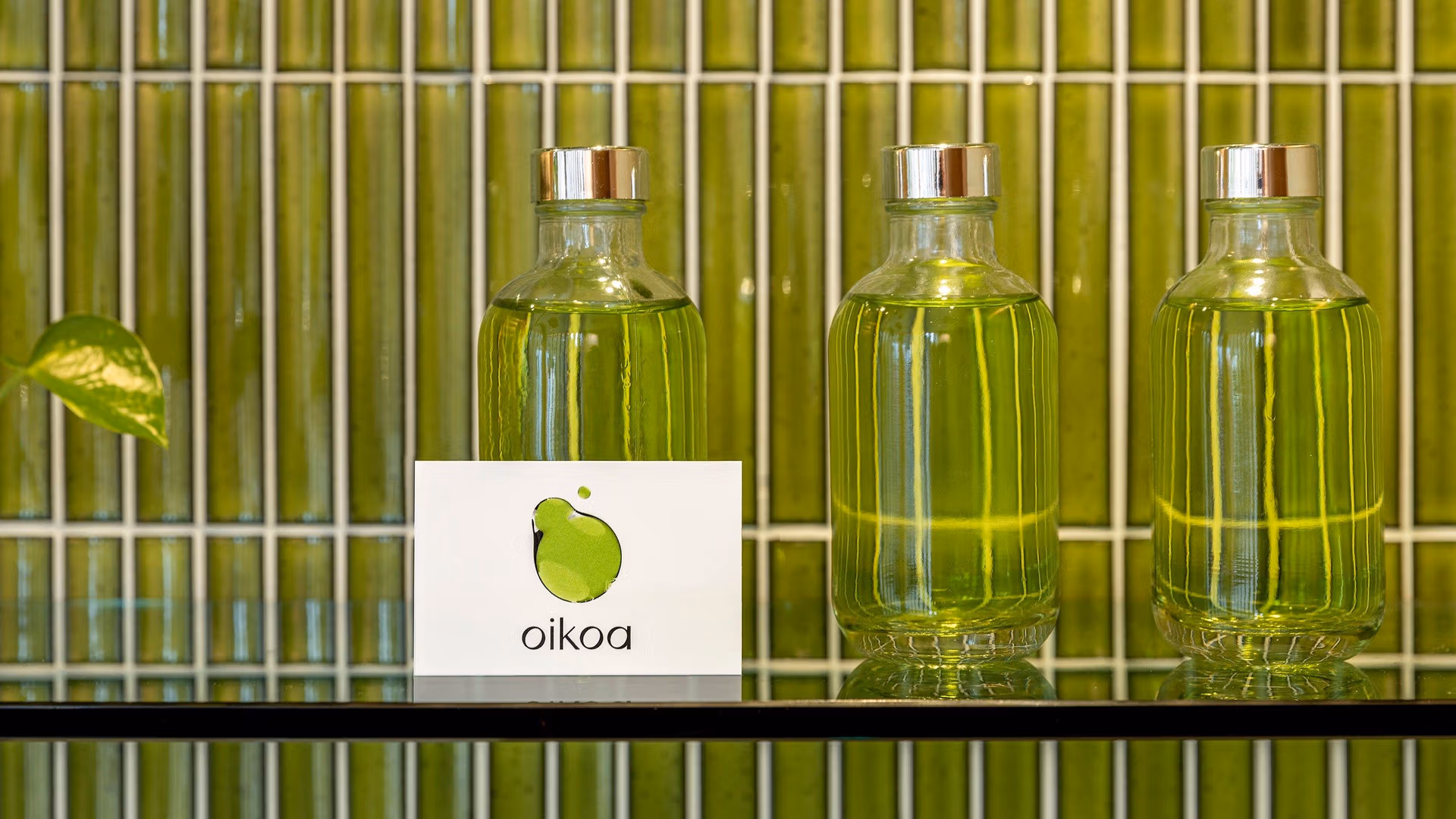 01 oikoa website