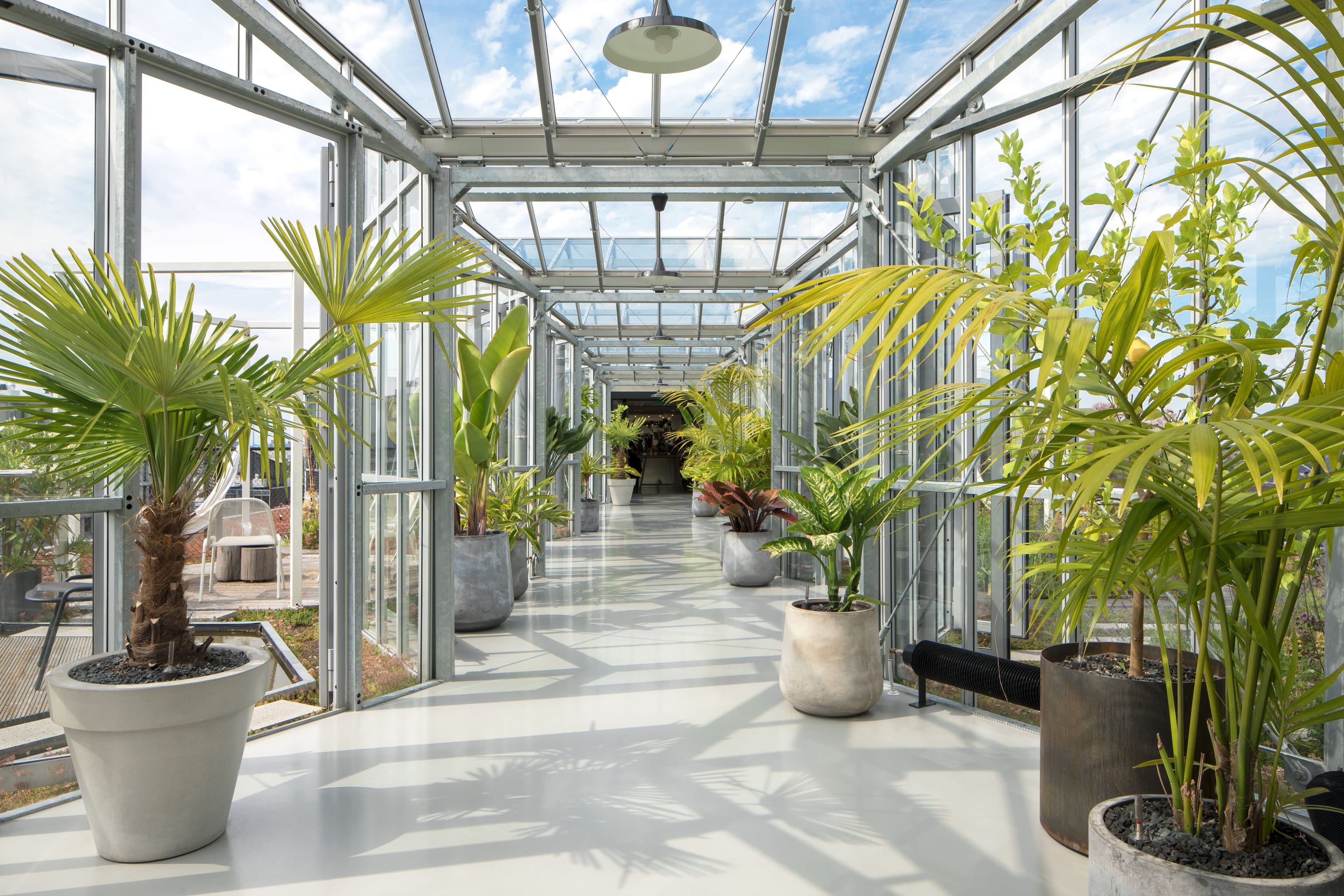 01 zoku greenhouse3