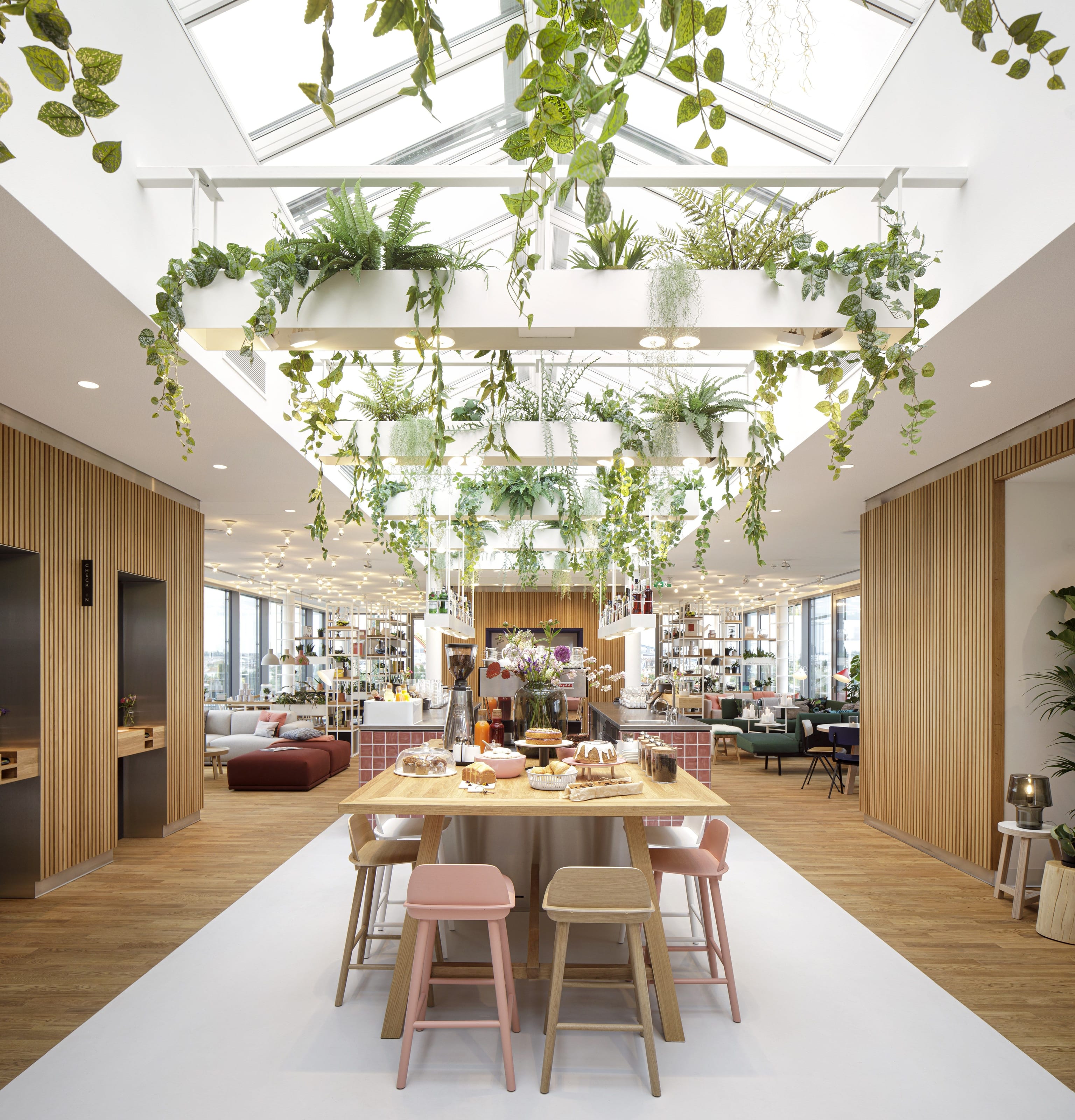 zoku projects