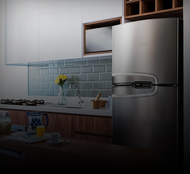 Qual diferença entre geladeira e refrigerador?