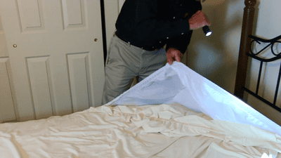 technician performing a bed bug inspection of a bed
