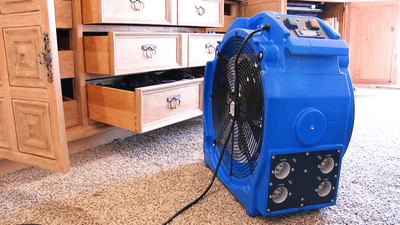 Bedbug heater showing power cord placement