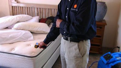 
                    
                    Heat monitoring using an IR Thermometer during a bedbug heat treatment
                          