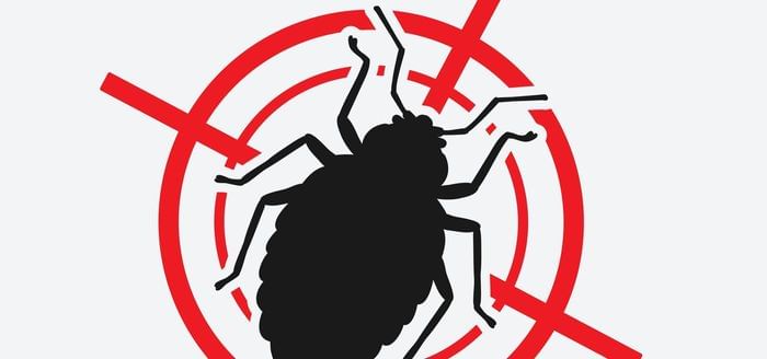 
                    Why You Should Skip the Chemical Bed Bug Treatments!
                          