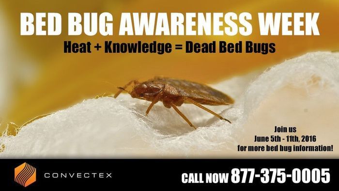 
                    Bed Bug Awareness Week 2016 - Bed Bugs Are Everywhere!
                          