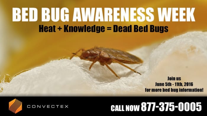 
                    Bed Bug Awareness Week promotional image featuring a close-up of a bed bug on fabric, with text highlighting the importance of heat and knowledge in eliminating bed bugs, and Convectex branding and contact information.
                          