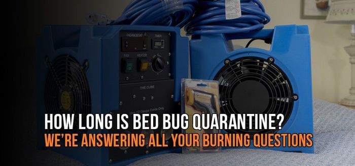 
                    How Long is Bed Bug Quarantine? And Other Common Bed Bug Questions
                          