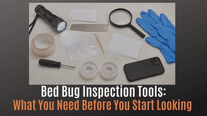 
                    Bed Bug Inspection Tools: What You Need Before You Start Looking
                          
