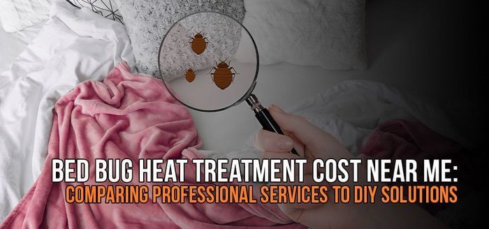
                    Bed Bug Heat Treatment Cost Near Me: Comparing Professional Services to DIY Solutions
                          
