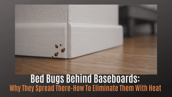 
                    Bed Bugs Behind Baseboards: Why They Spread There — and How to Eliminate Them with Heat
                          