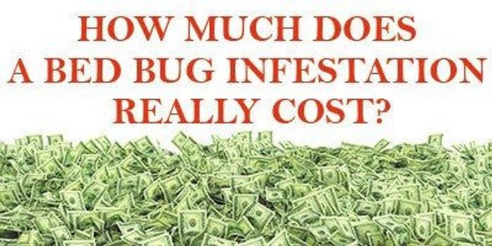 
                    Bed bug business costs
                          