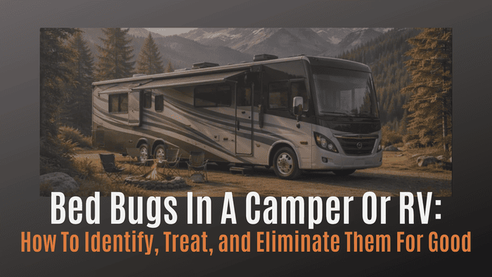 
                    Bed Bugs in a Camper or RV: How to Identify, Treat, and Eliminate Them for Good
                          