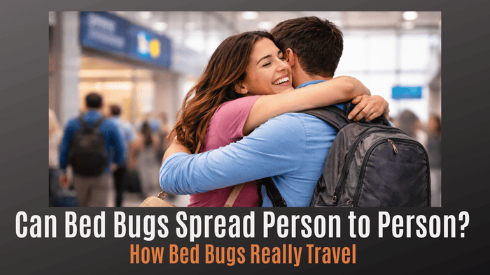 
                    Can bed bugs spread person to person
                          