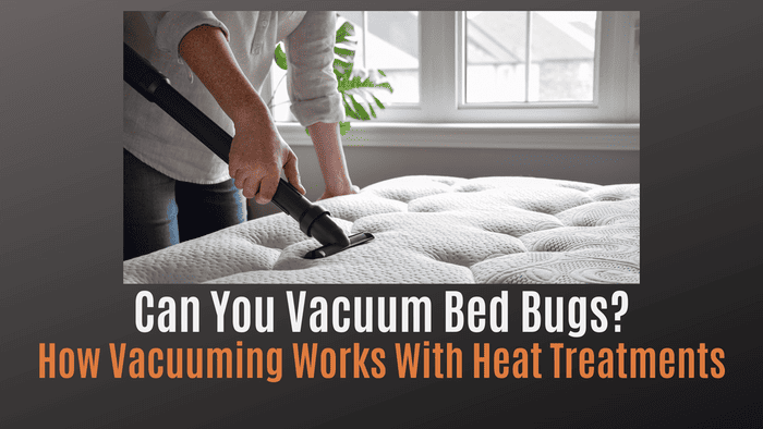 
                    Can You Vacuum Bed Bugs? How Vacuuming Works With Heat Treatment
                          