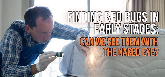 
                    Finding Bed Bugs in Early Stages: Can We See Them with the Naked Eye?
                          