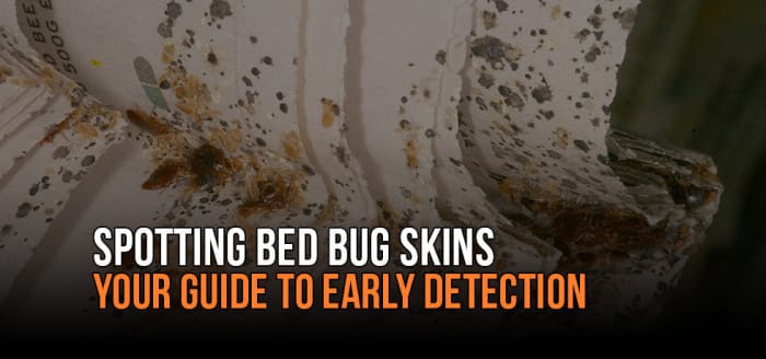 
                    Spotting Bed Bug Skins: Your Guide to Early Detection
                          