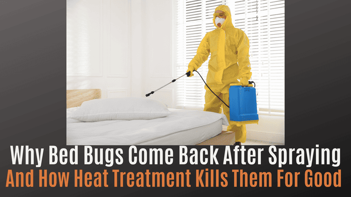 
                    Why Bed Bugs Come Back After Spraying — And How Heat Treatment Kills Them for Good
                          